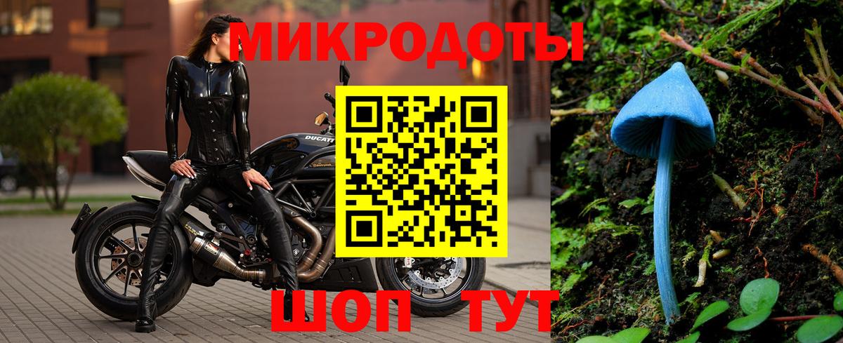 Псилоцибиновые грибы Psilocybe Берёзовский