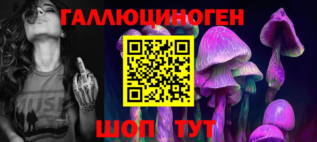 Галлюциногенные грибы прущие грибы  Вход с VPN  Псилоцибиновые грибы ЛСД  Берёзовский 